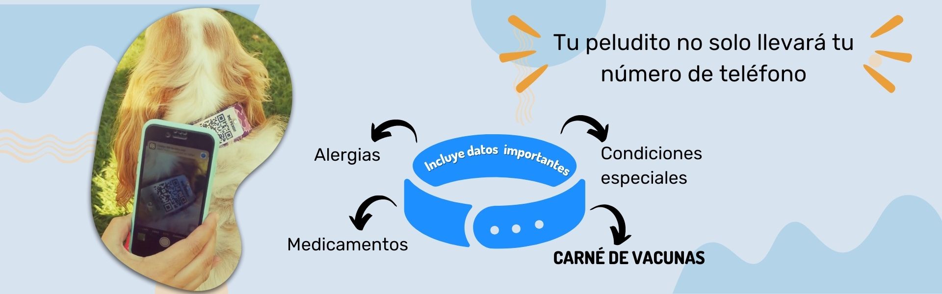 Seguridad y estilo para tu mascota